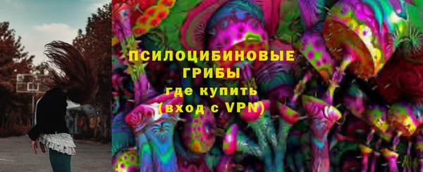 твердый Алексин