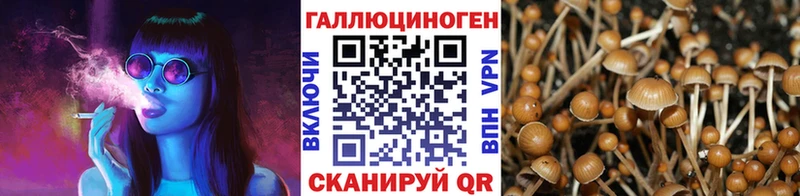 Галлюциногенные грибы ЛСД Салехард