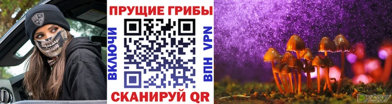 Галлюциногенные грибы Cubensis Салехард
