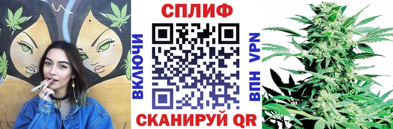 Шишки марихуана VHQ  цена наркотик  Салехард 